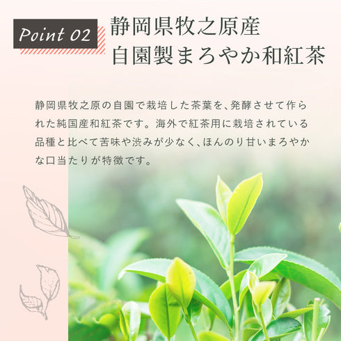 檸檬草 x 日本紅茶茶包 2.5g x 35p